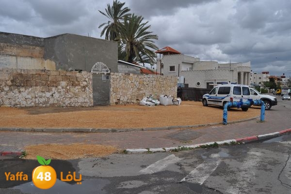 kaneswa7akhdra2lud316 (15).JPG